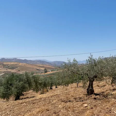 Casa Olivos - Caminito Del Rey Holiday home